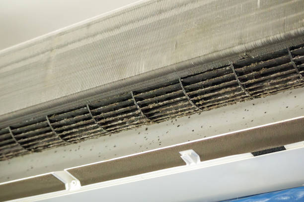 Air Duct Mold Removal in Hudson, CO